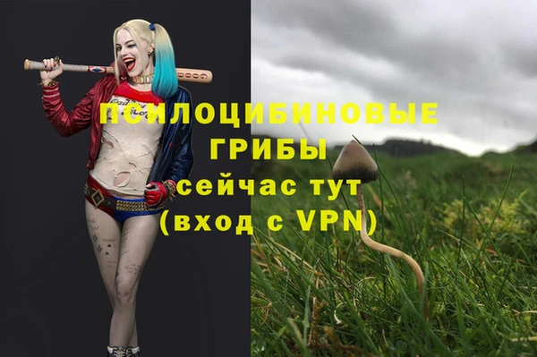спайс Зеленодольск