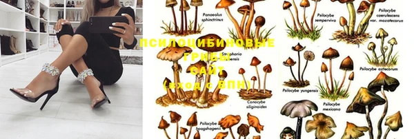 скорость Зеленокумск