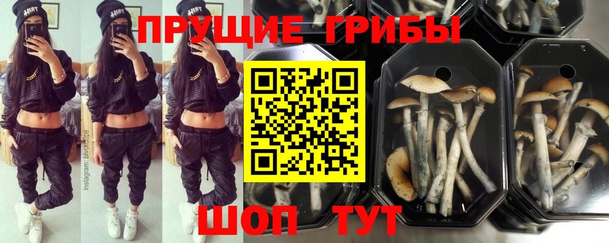 Галлюциногенные грибы GOLDEN TEACHER Магнитогорск